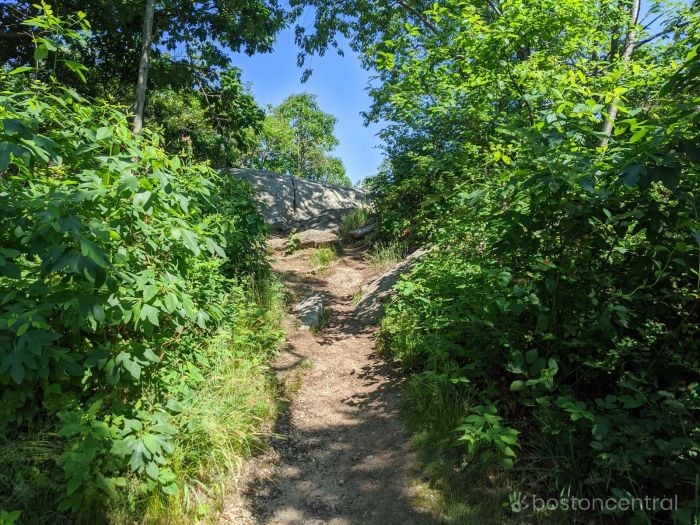 stage fort park gloucester ma paths